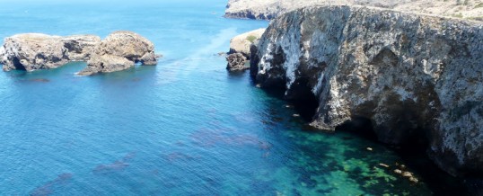 Channel Islands National Park, Santa Cruz