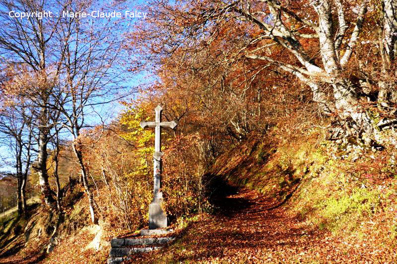 Croix des mariages Cessens le Sapenay